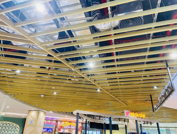 GYPSUM WALL AND CEILING SUPPLY & INSTALLATION